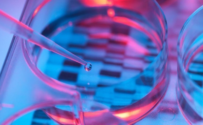 Genetic Testing